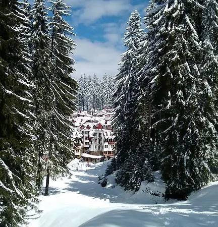 The Castle Complex - 401 *