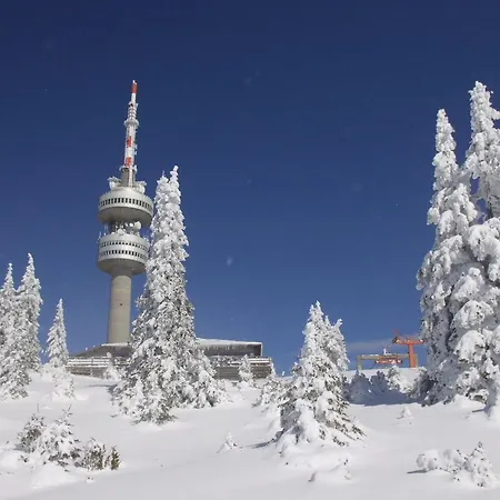 The Castle Complex - 401