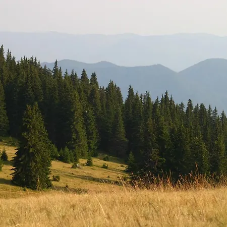 Apartman The Castle Complex - 401 Pamporovo