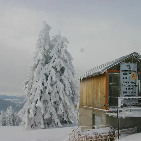 The Castle Complex - 401 * Pamporovo
