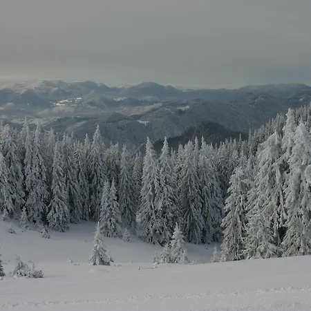 Apartmán The Castle Complex - 401