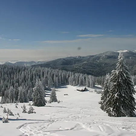 The Castle Complex - 401 Pamporovo