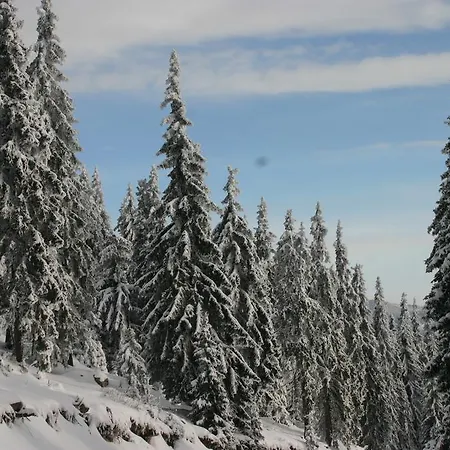 Apartmán The Castle Complex - 401 *