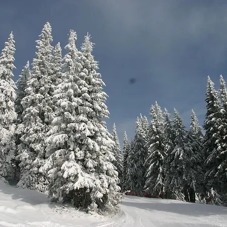 The Castle Complex - 401 * Pamporovo