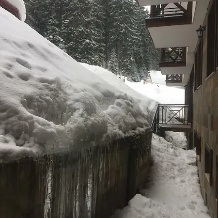 The Castle Complex - 401 Appartamento Pamporovo