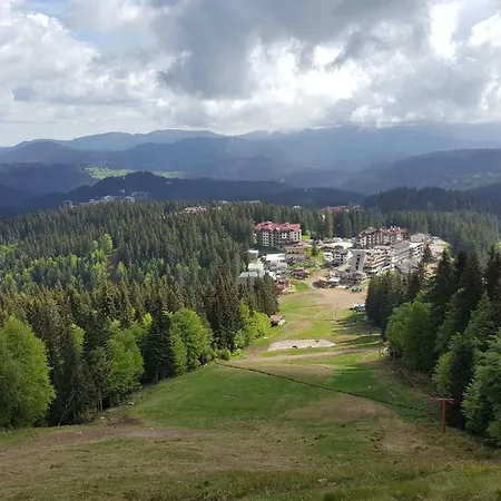 The Castle Complex - 401 * Pamporovo