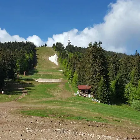 The Castle Complex - 401 Apartman Pamporovo