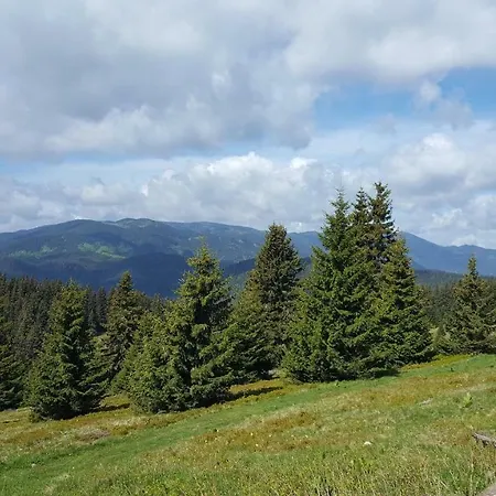 The Castle Complex - 401 Apartman