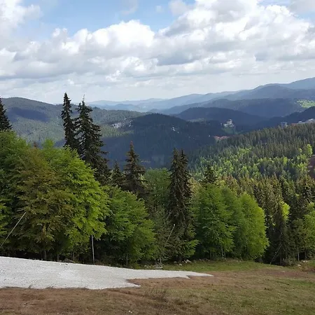 The Castle Complex - 401 * Pamporovo