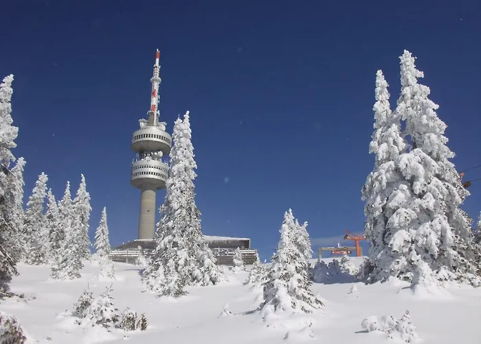 The Castle Complex - 401