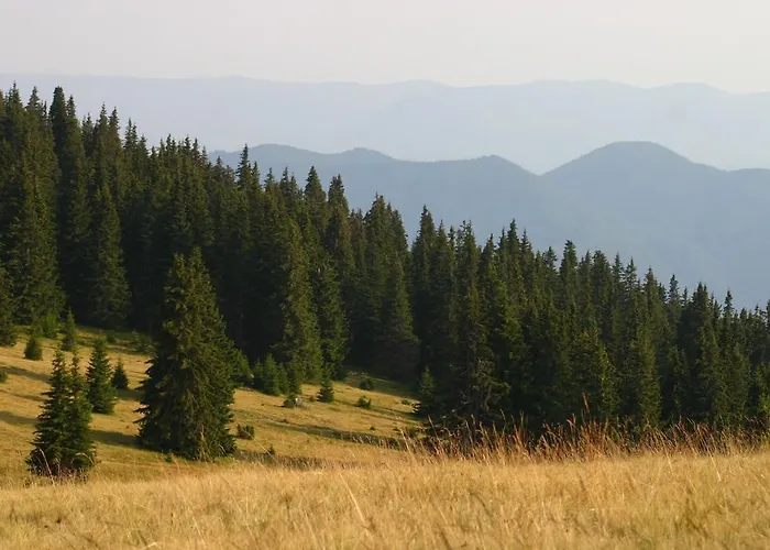 아파트 The Castle Complex - 401 팜포로보