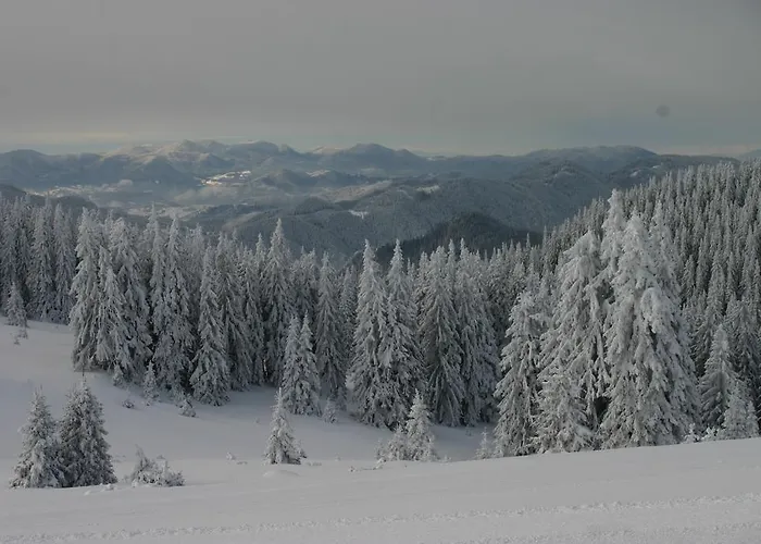 아파트 The Castle Complex - 401