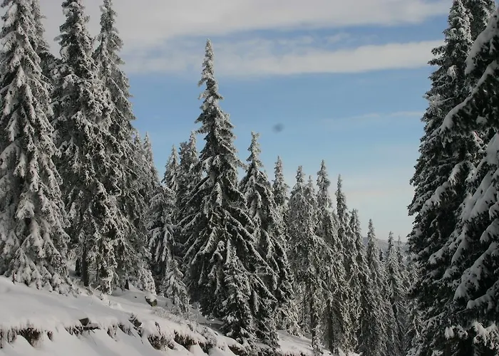 아파트 The Castle Complex - 401 *