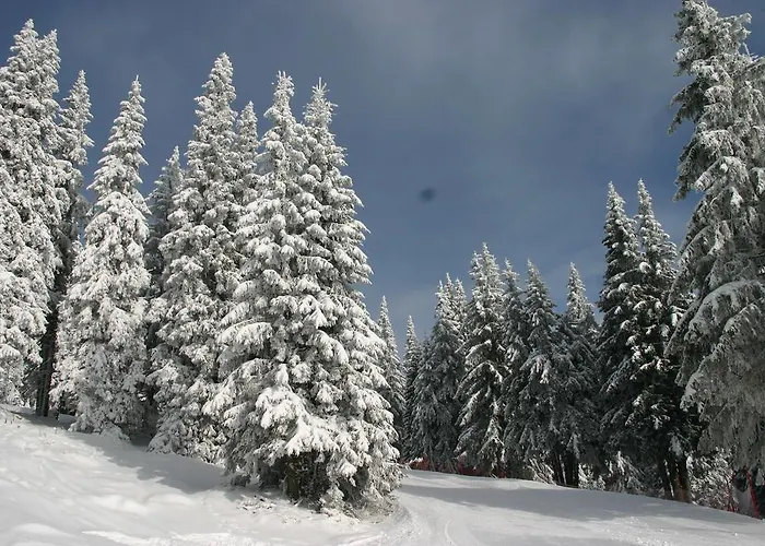 The Castle Complex - 401 * 팜포로보