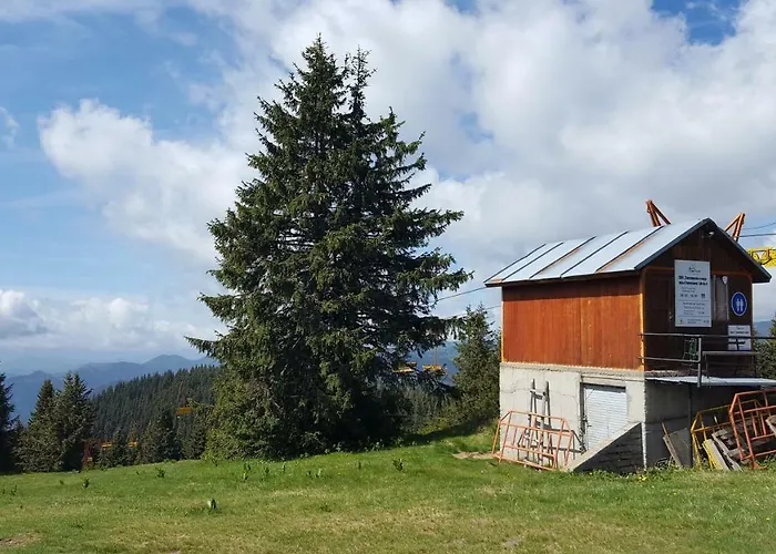 The Castle Complex - 401