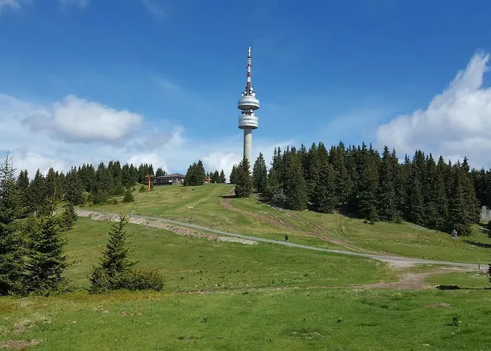 The Castle Complex - 401 * 팜포로보