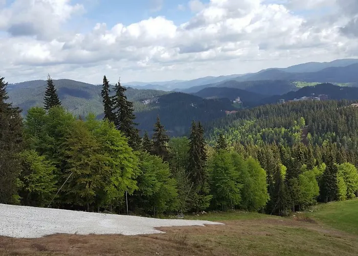 The Castle Complex - 401 * 팜포로보